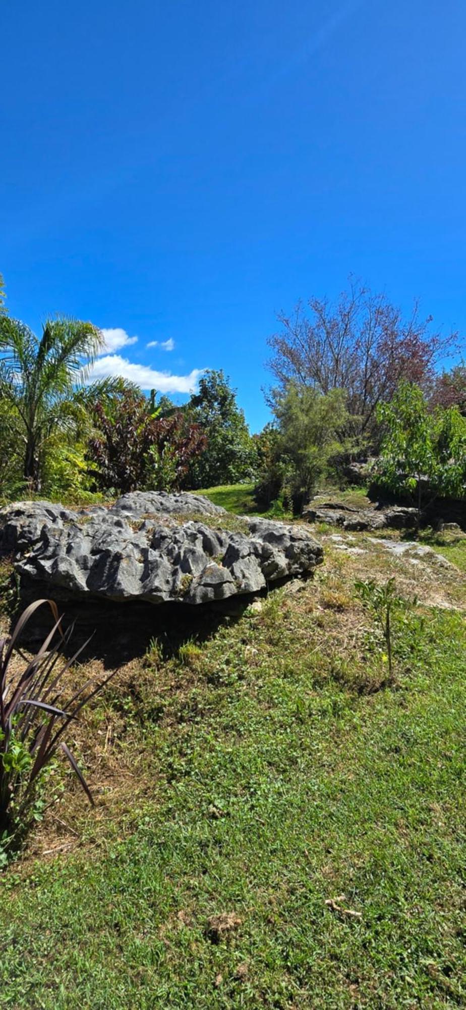 تاكاكا The Rocks Chalets المظهر الخارجي الصورة