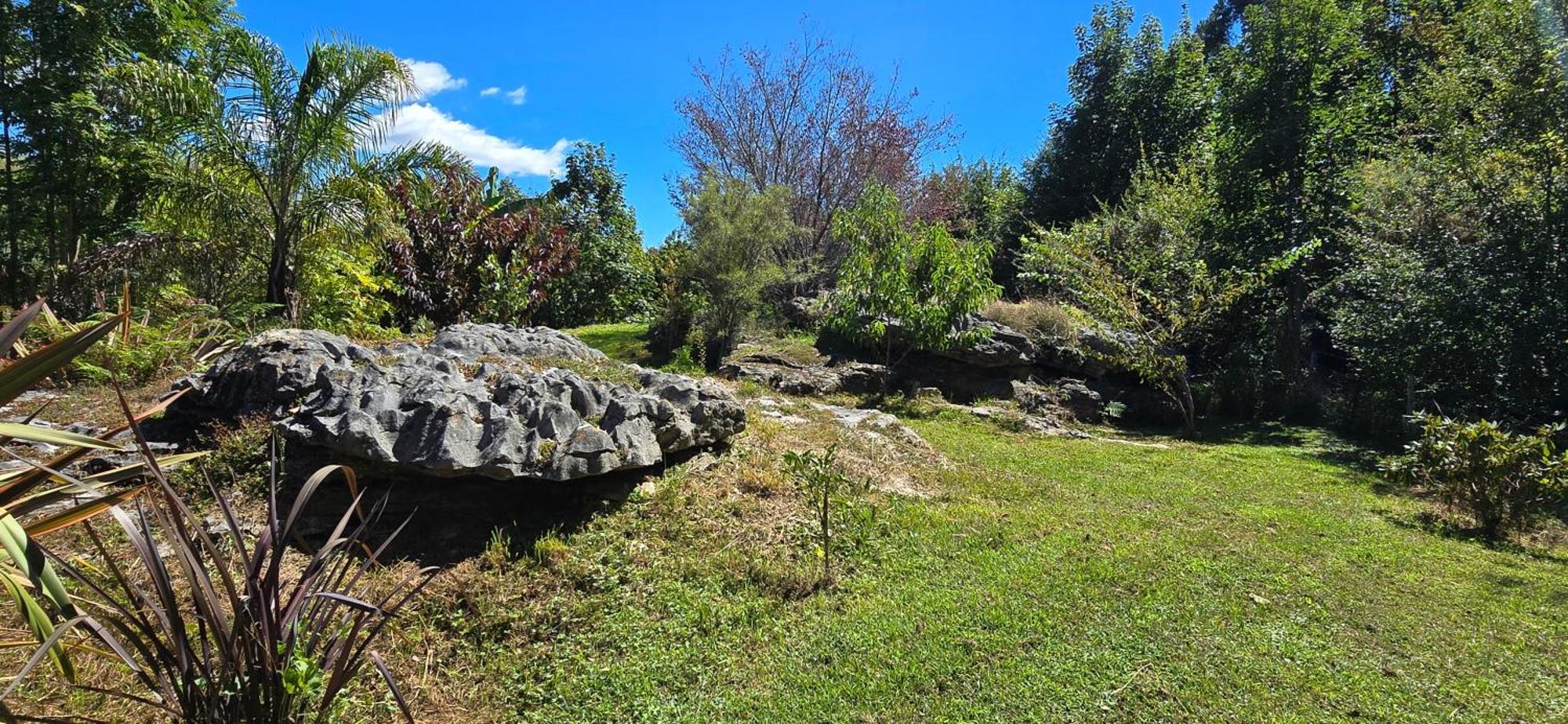 تاكاكا The Rocks Chalets المظهر الخارجي الصورة